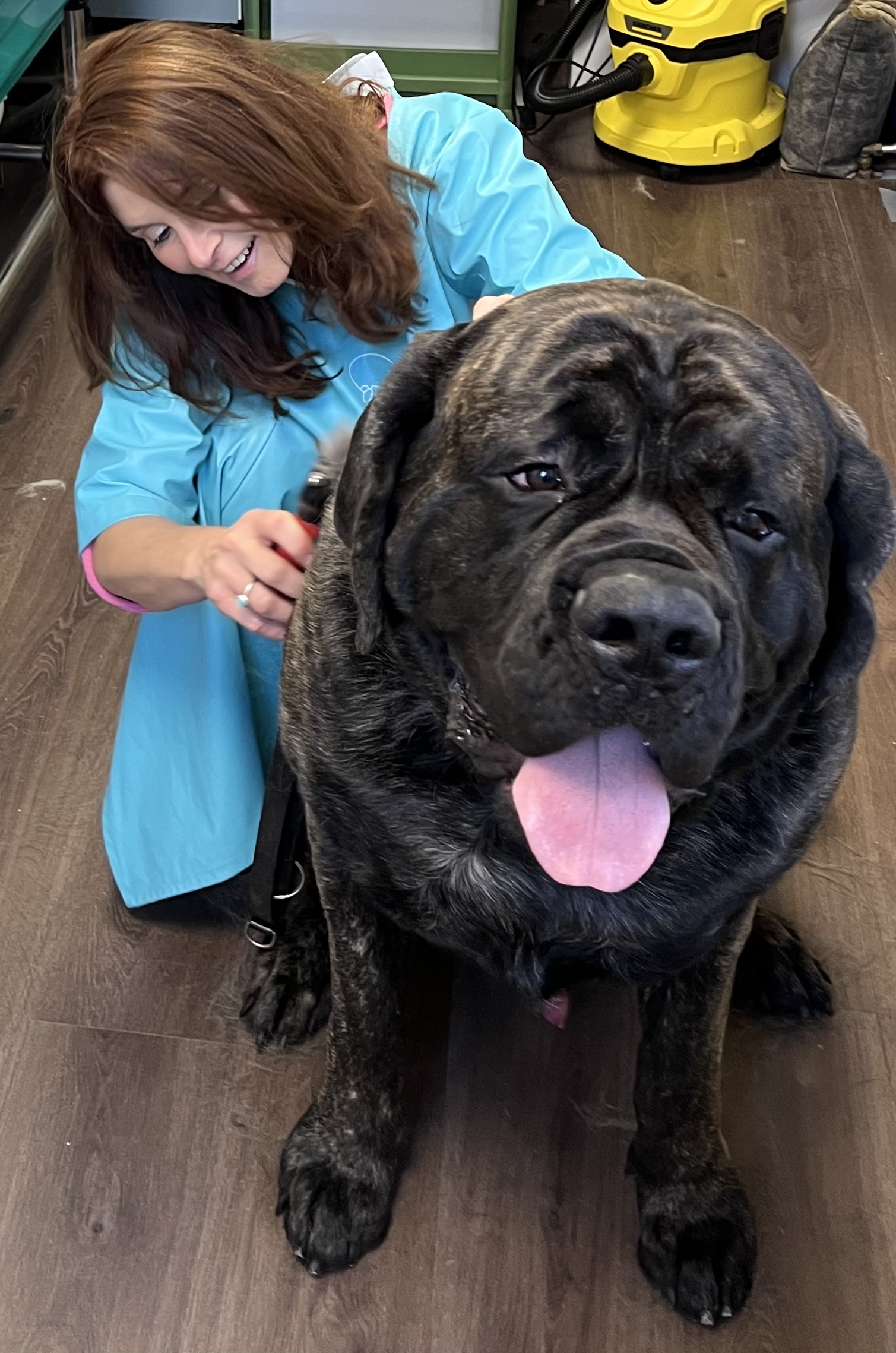 Astrid knielt naast een grote donkere hond en borstelt zijn vacht